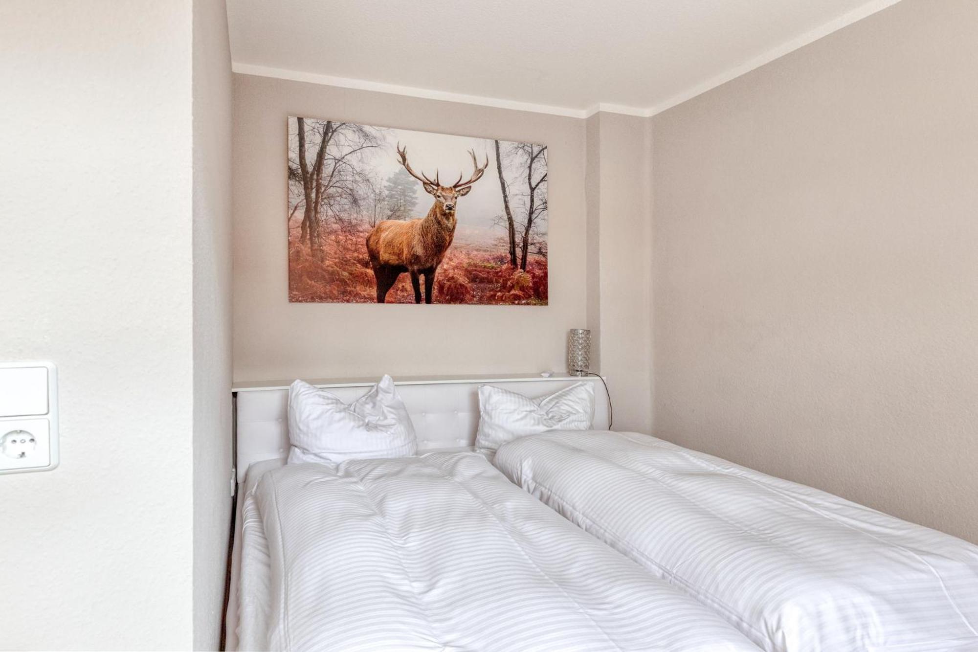 Ferienwohnungen Ziesing Thale Esterno foto